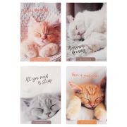 Блокнот А6, 40 л клетка на скрепке, обл мел-ый карт, блок офсет, МИКС